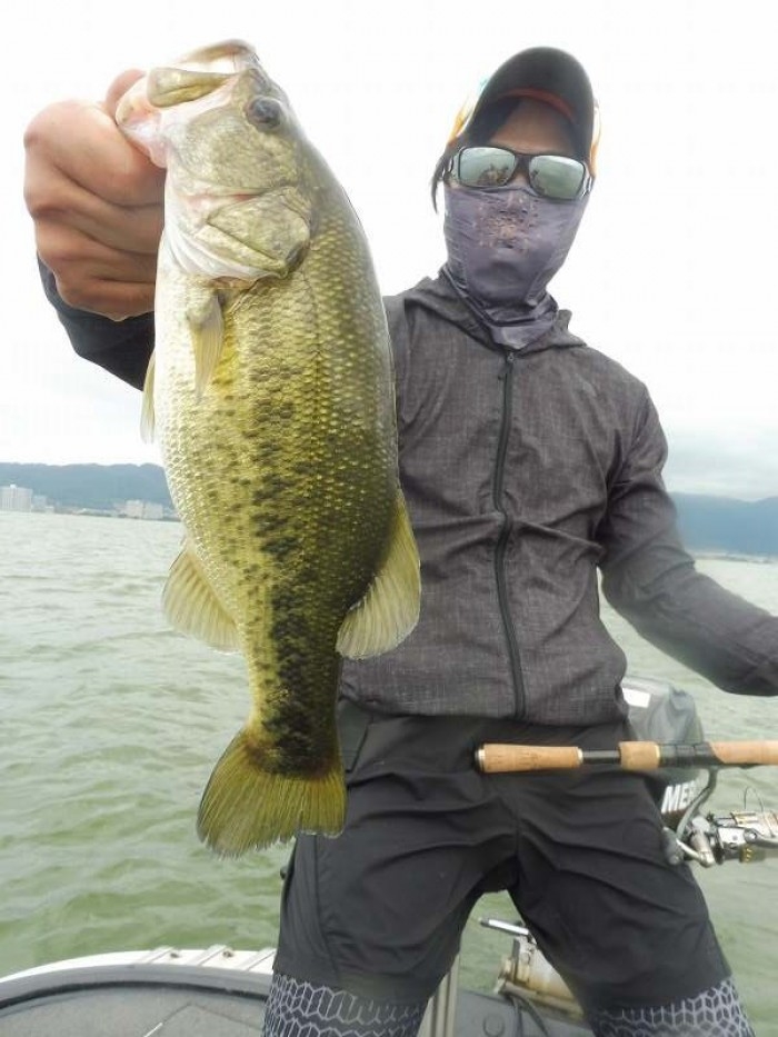 truth  ブログ写真 2017/08/04