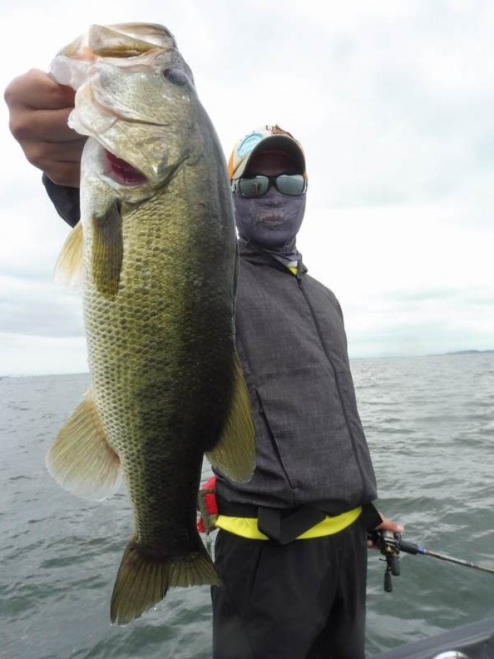 truth  ブログ写真 2017/08/04