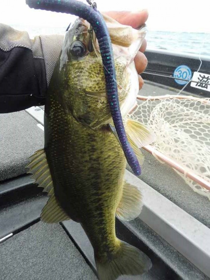 truth  ブログ写真 2017/08/04