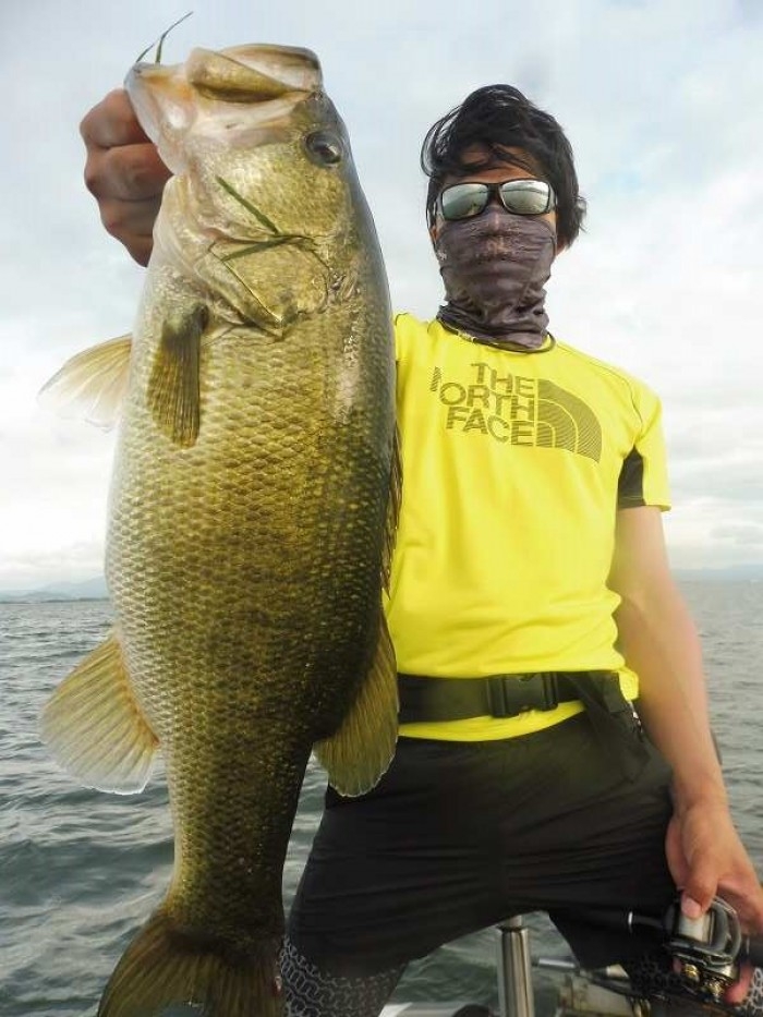 truth  ブログ写真 2017/08/04