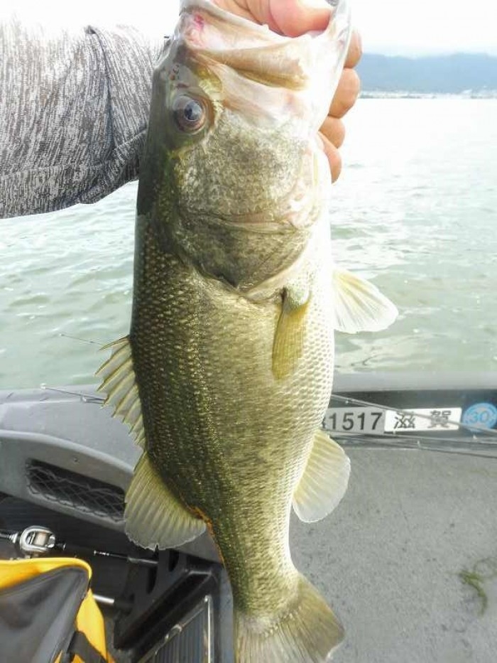 truth  ブログ写真 2017/08/05