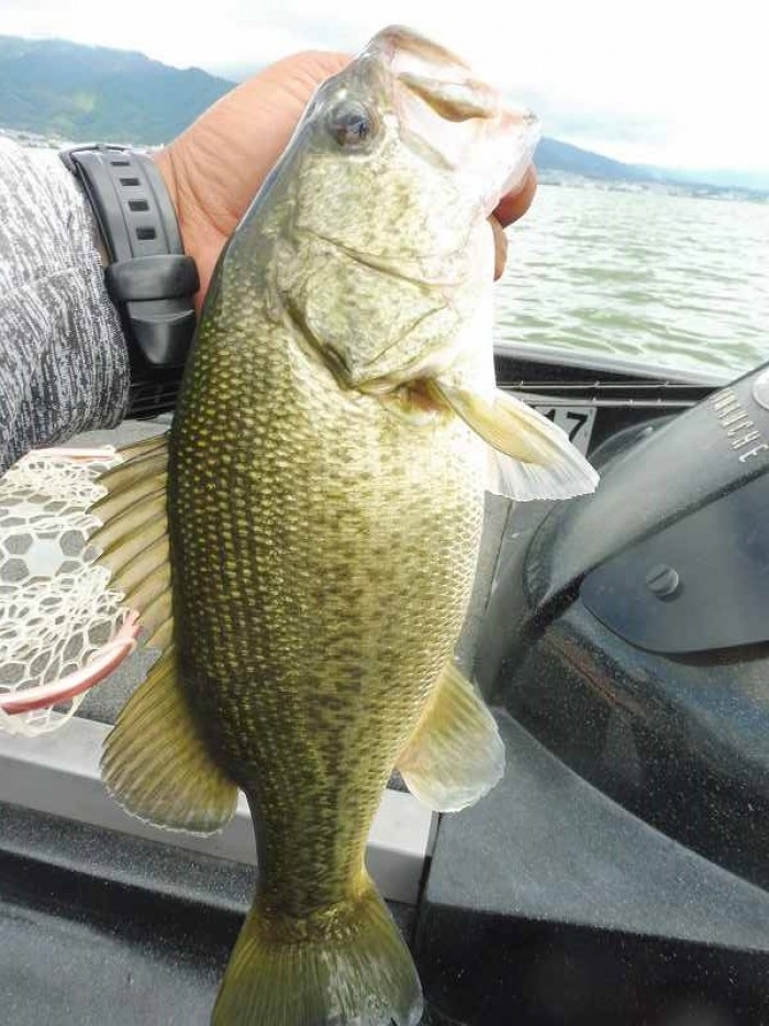 truth  ブログ写真 2017/08/05