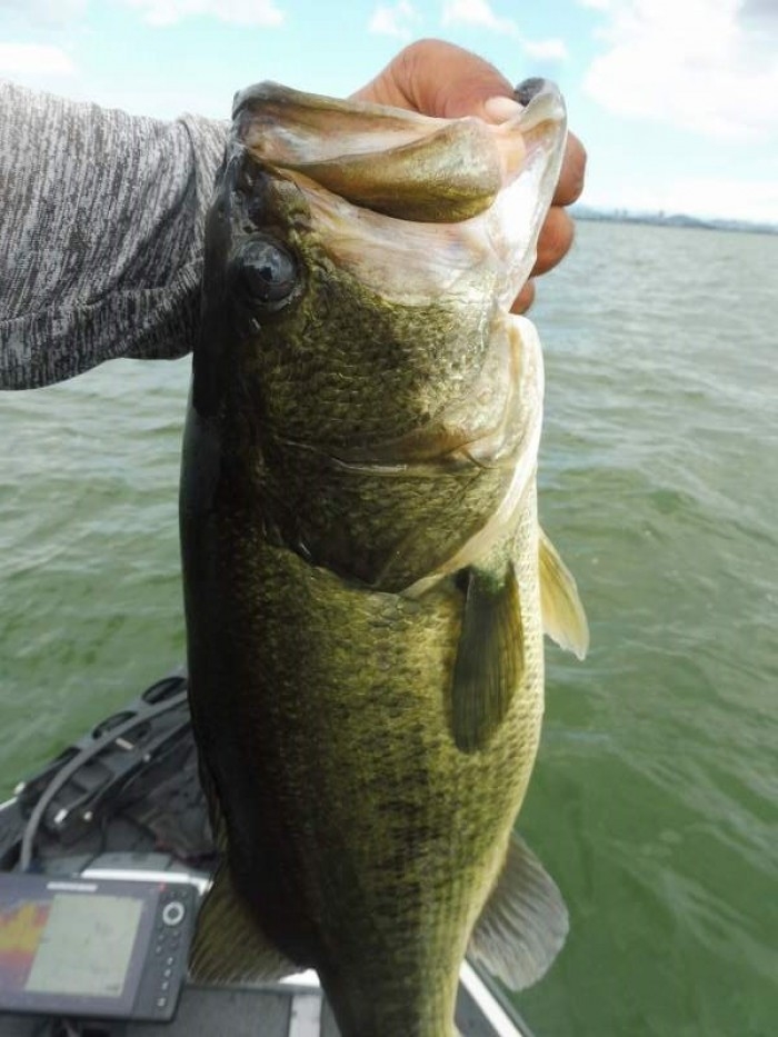 truth  ブログ写真 2017/08/05