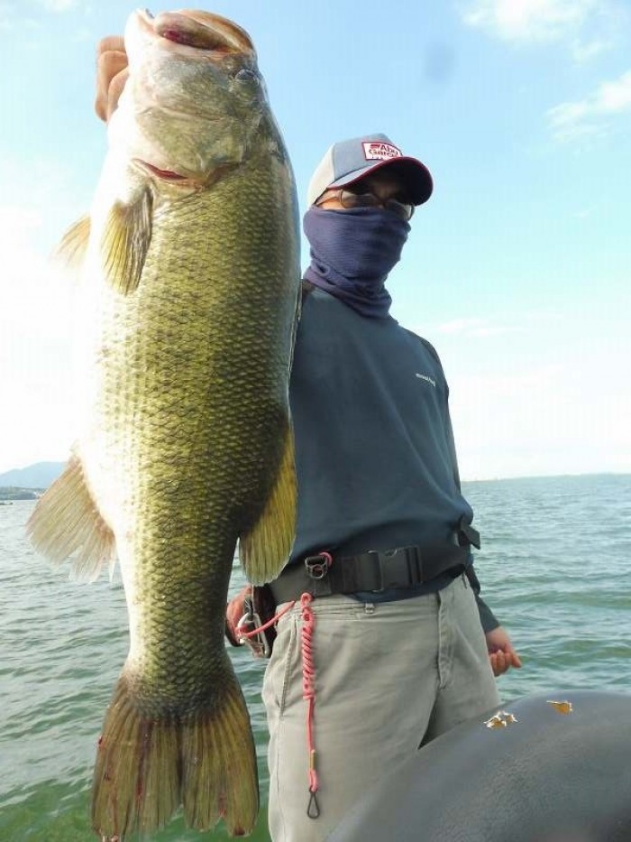 truth  ブログ写真 2017/08/05