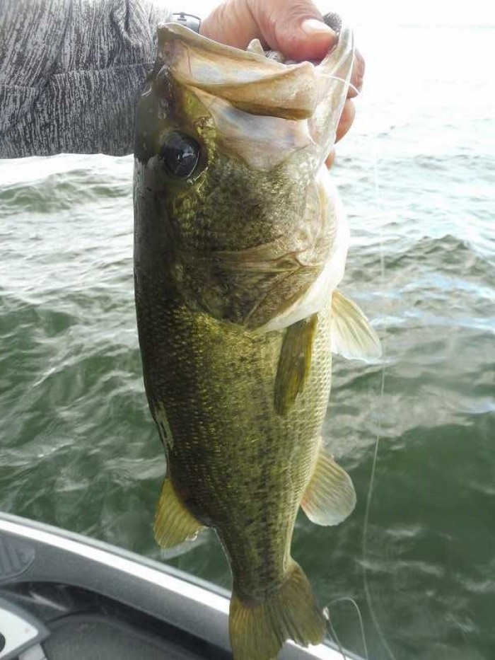 truth  ブログ写真 2017/08/05