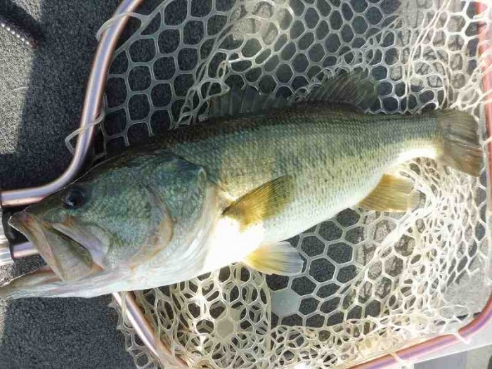 truth  ブログ写真 2017/08/05