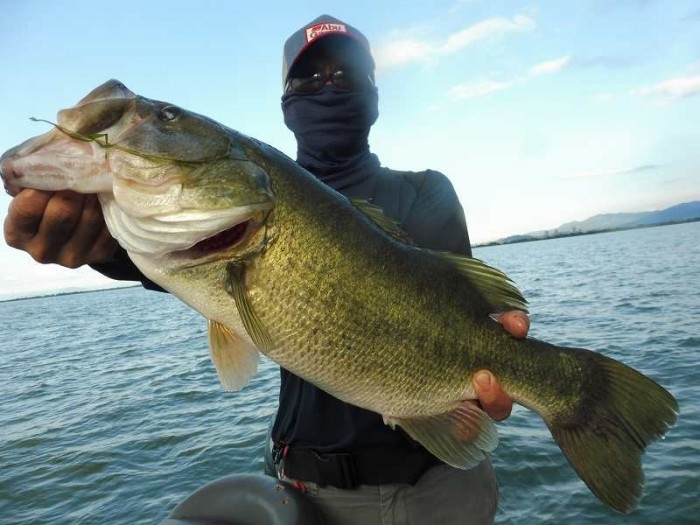 truth  ブログ写真 2017/08/05