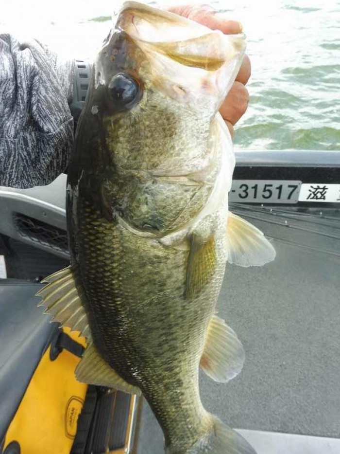 truth  ブログ写真 2017/08/05