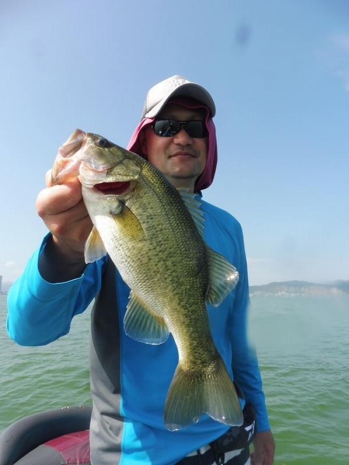 truth  ブログ写真 2017/08/06