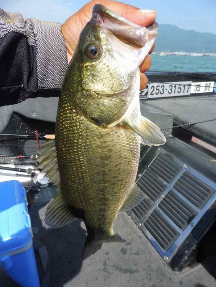 truth  ブログ写真 2017/08/06