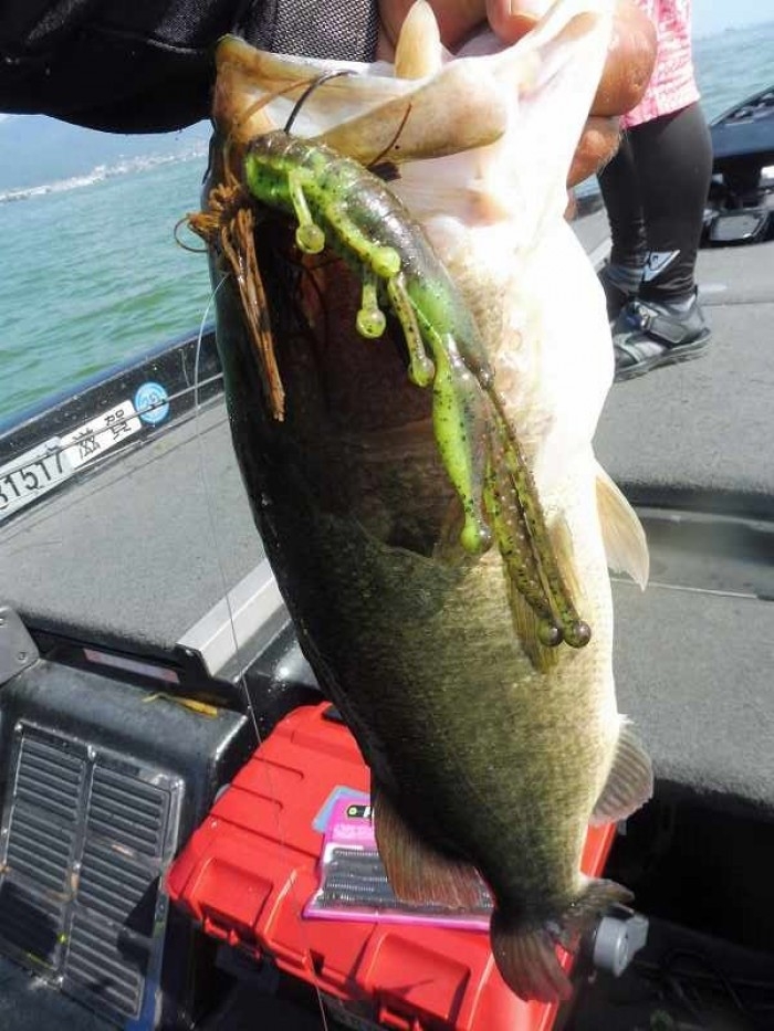 truth  ブログ写真 2017/08/06