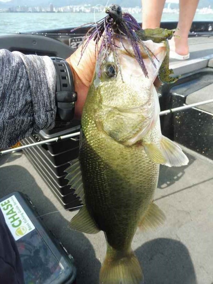 truth  ブログ写真 2017/08/09