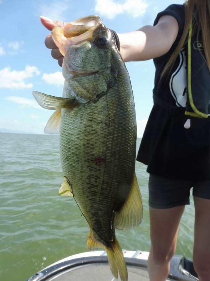 truth  ブログ写真 2017/08/09