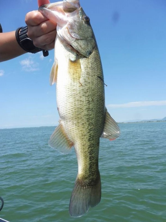 truth  ブログ写真 2017/08/09