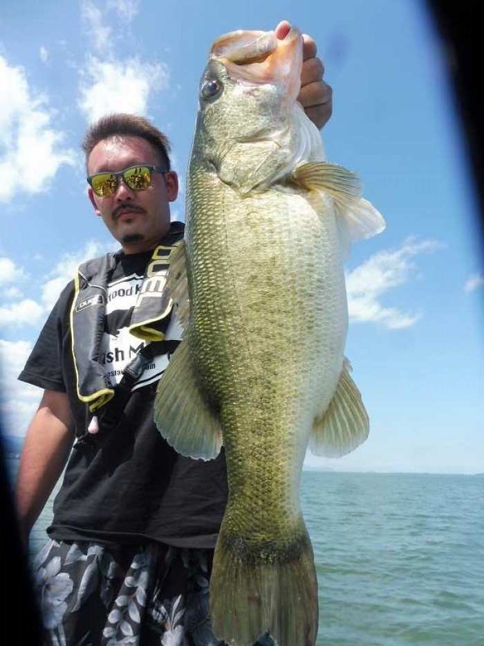 truth  ブログ写真 2017/08/09