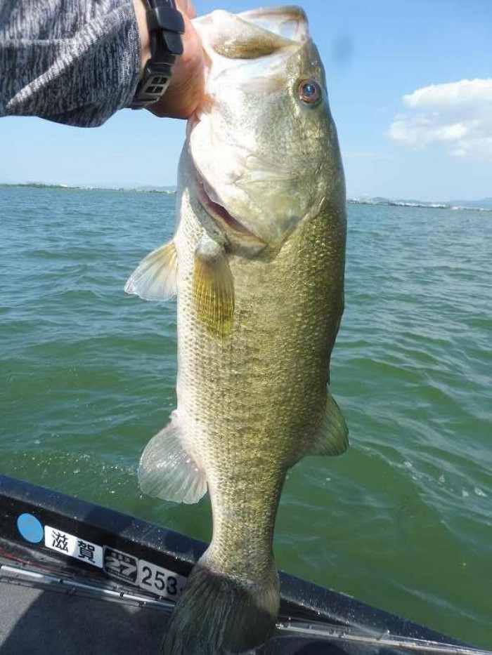 truth  ブログ写真 2017/08/09