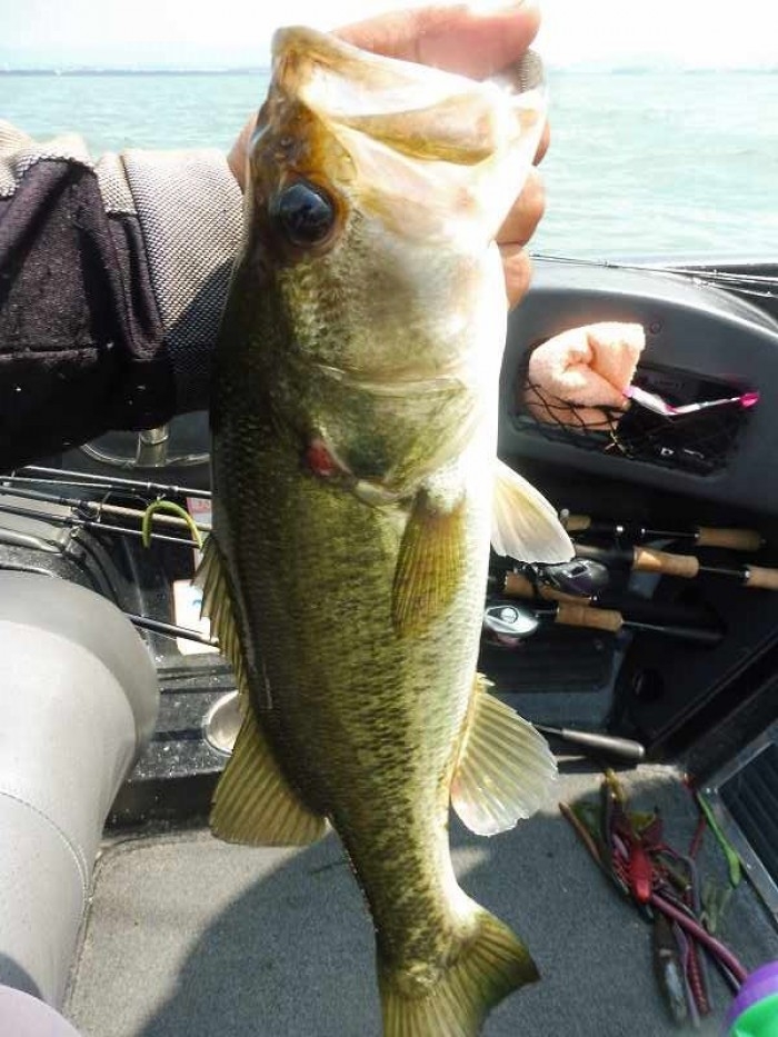 truth  ブログ写真 2017/08/10