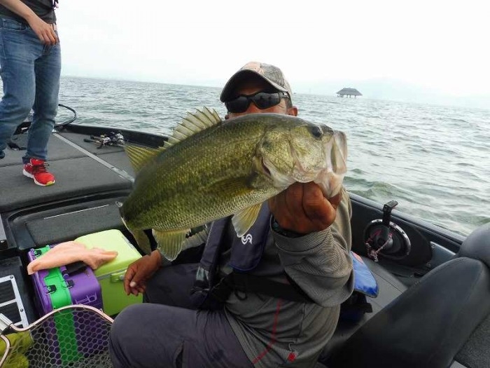 truth  ブログ写真 2017/08/10