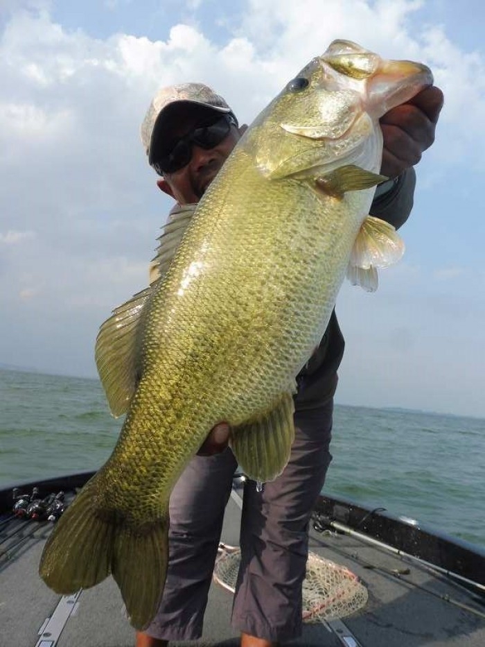 truth  ブログ写真 2017/08/10