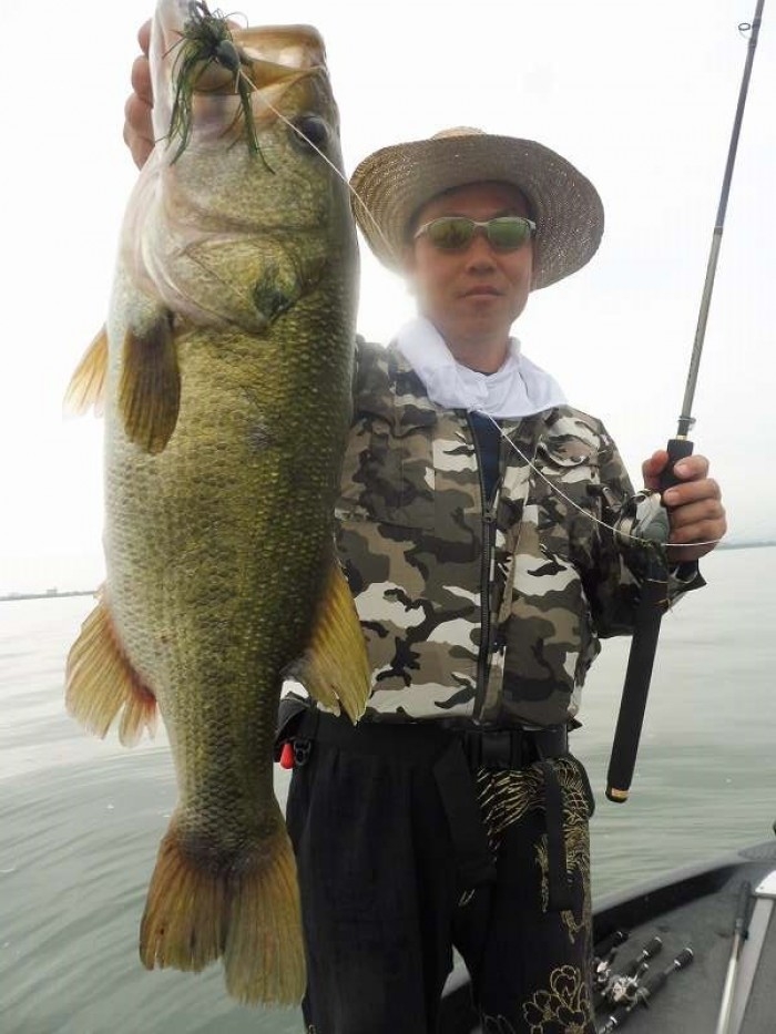 truth  ブログ写真 2017/08/11