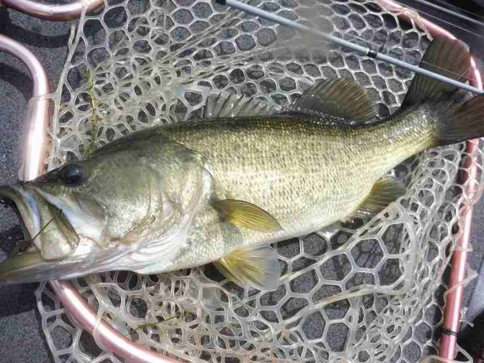 truth  ブログ写真 2017/08/11