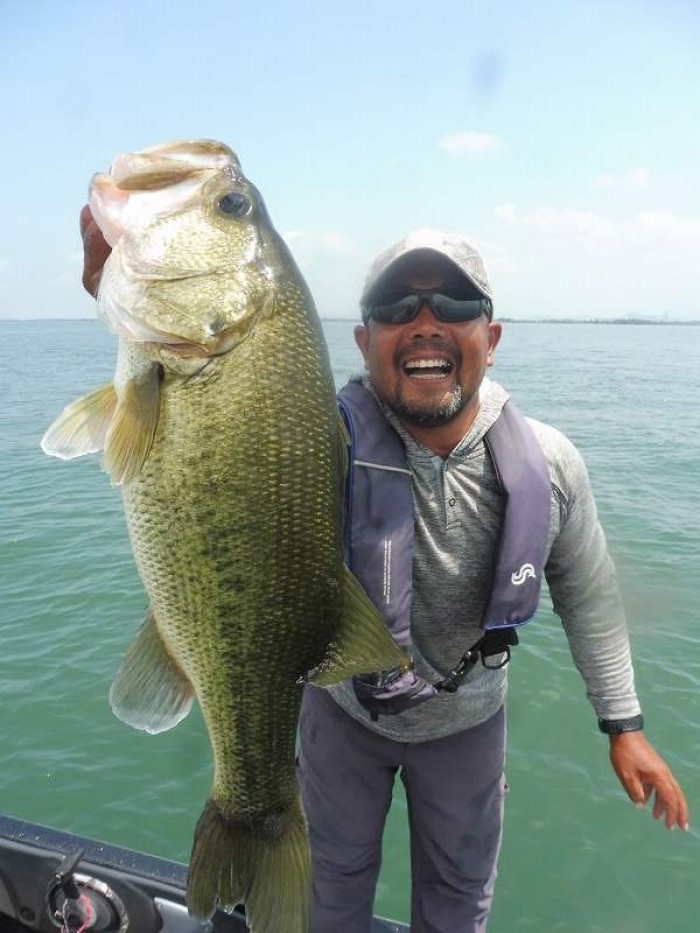 truth  ブログ写真 2017/08/11