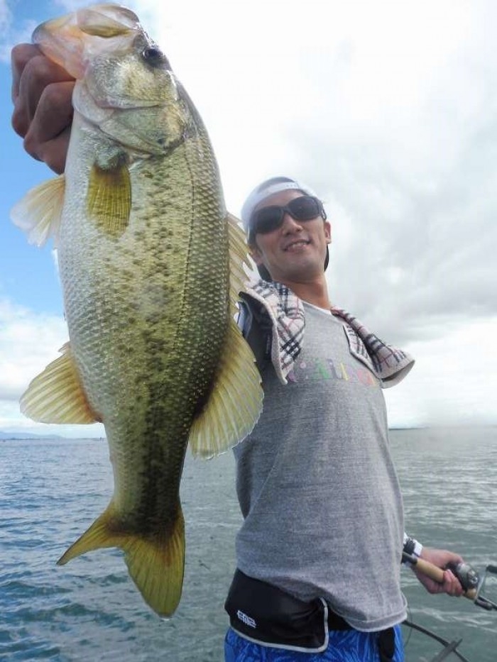 truth  ブログ写真 2017/08/12