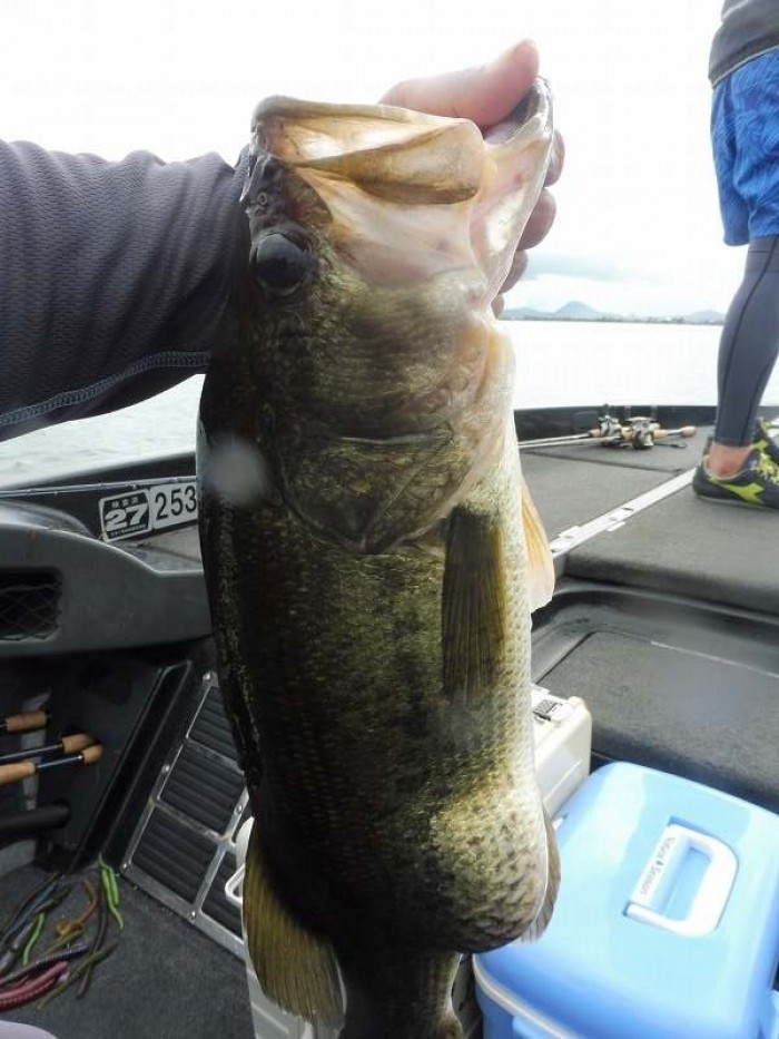 truth  ブログ写真 2017/08/12