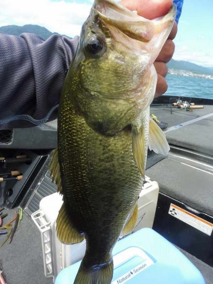 truth  ブログ写真 2017/08/12