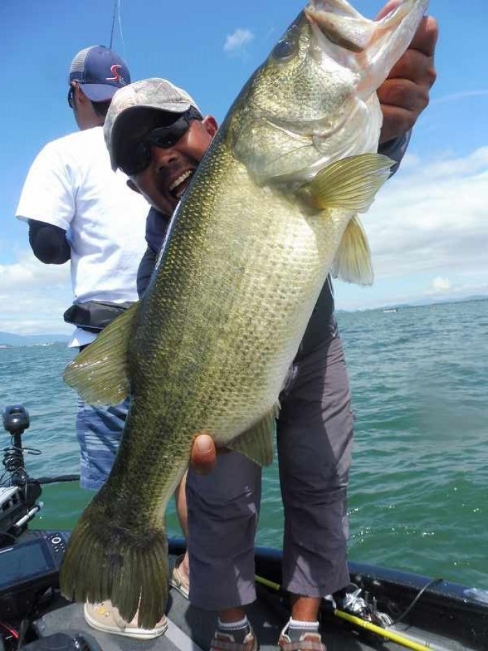 truth  ブログ写真 2017/08/12