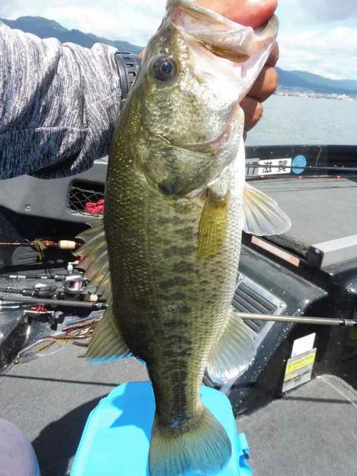 truth  ブログ写真 2017/08/13