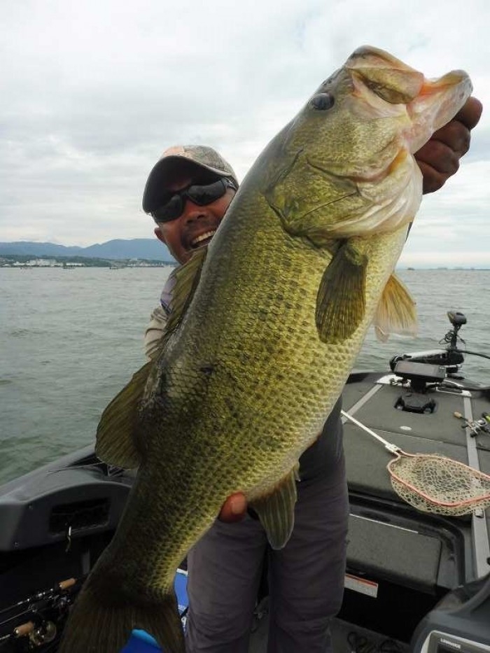 truth  ブログ写真 2017/08/14