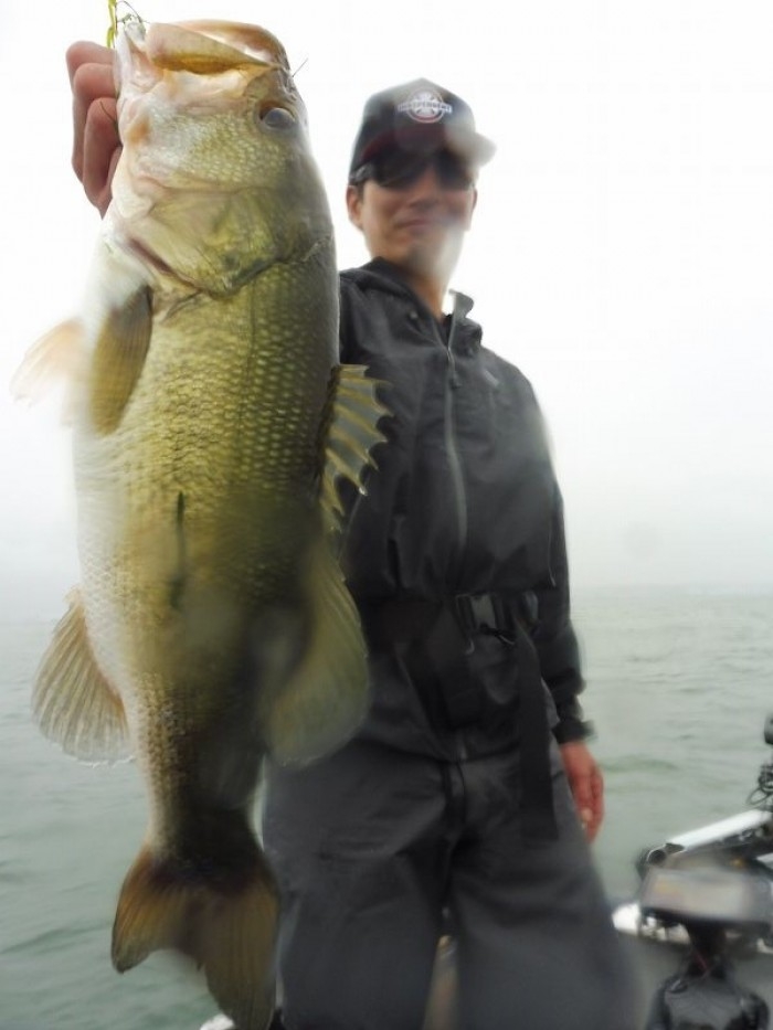 truth  ブログ写真 2017/08/15