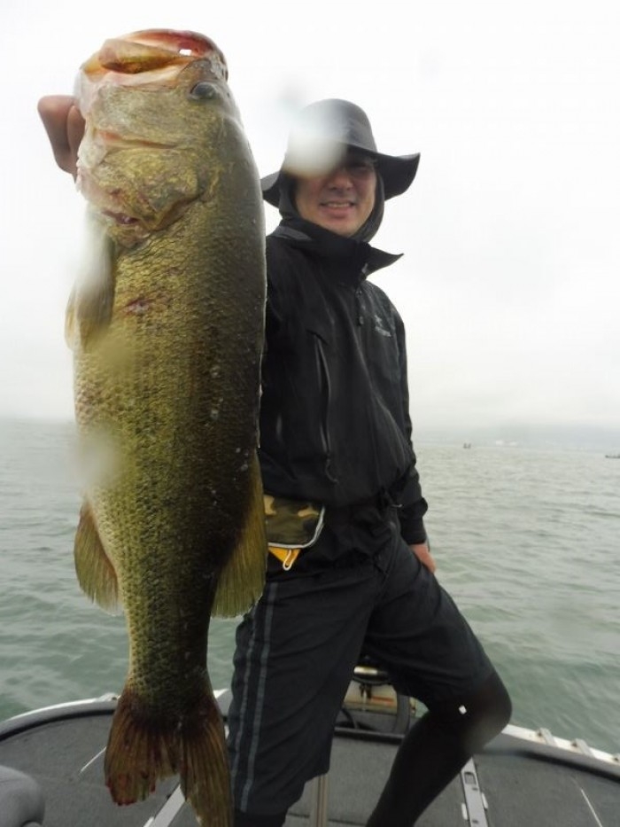 truth  ブログ写真 2017/08/15