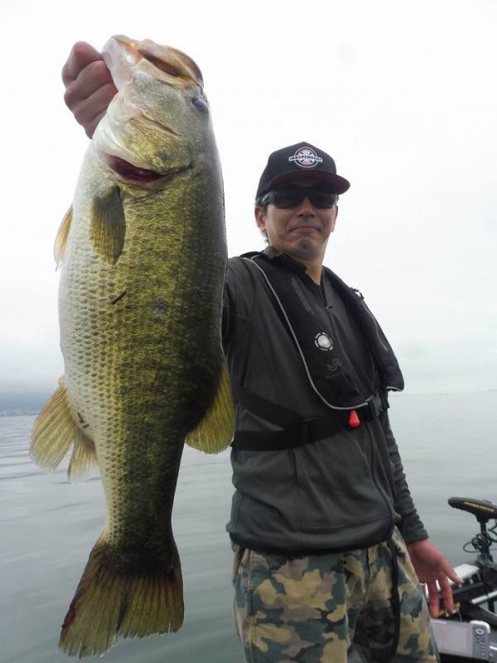 truth  ブログ写真 2017/08/16