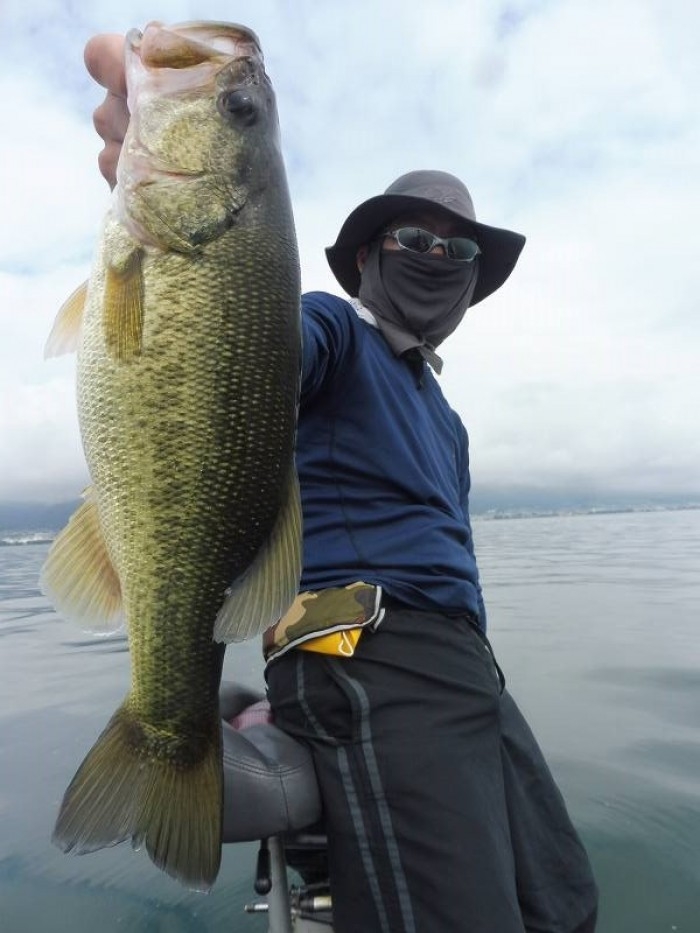 truth  ブログ写真 2017/08/16