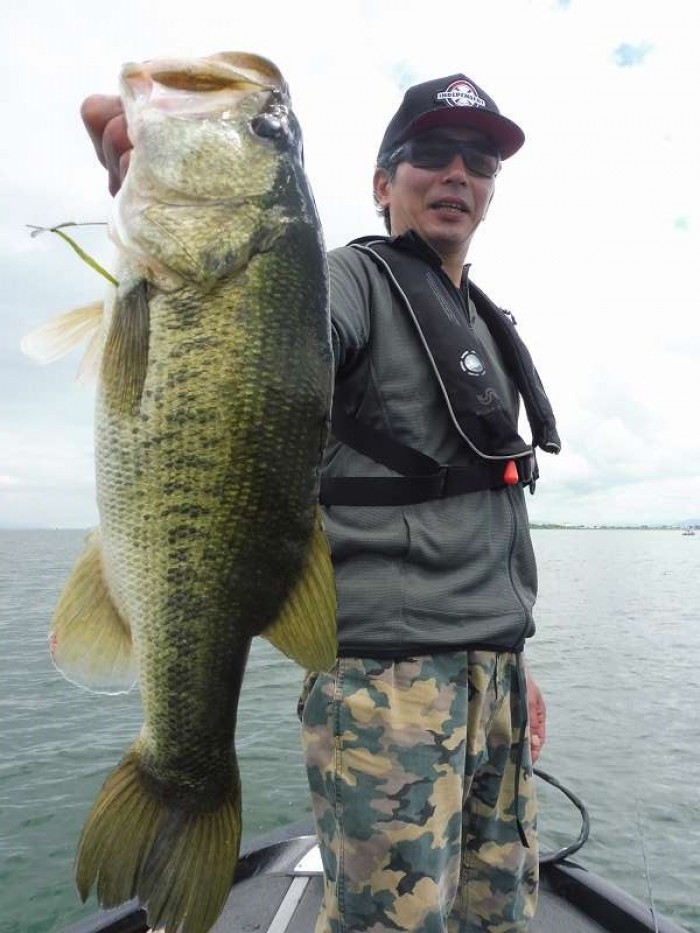 truth  ブログ写真 2017/08/16