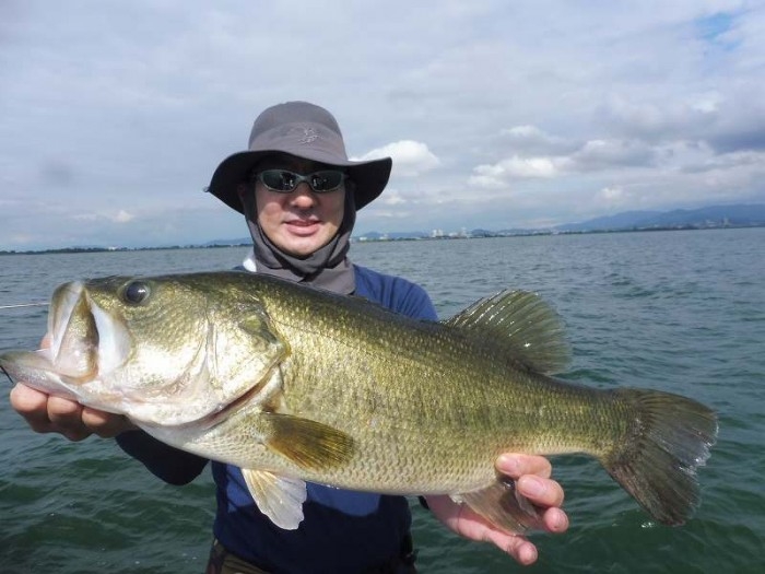 truth  ブログ写真 2017/08/16