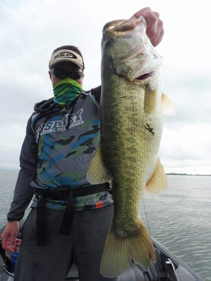 truth  ブログ写真 2017/08/17