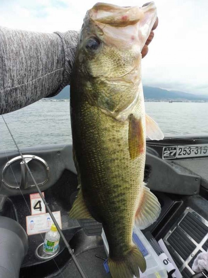 truth  ブログ写真 2017/08/17