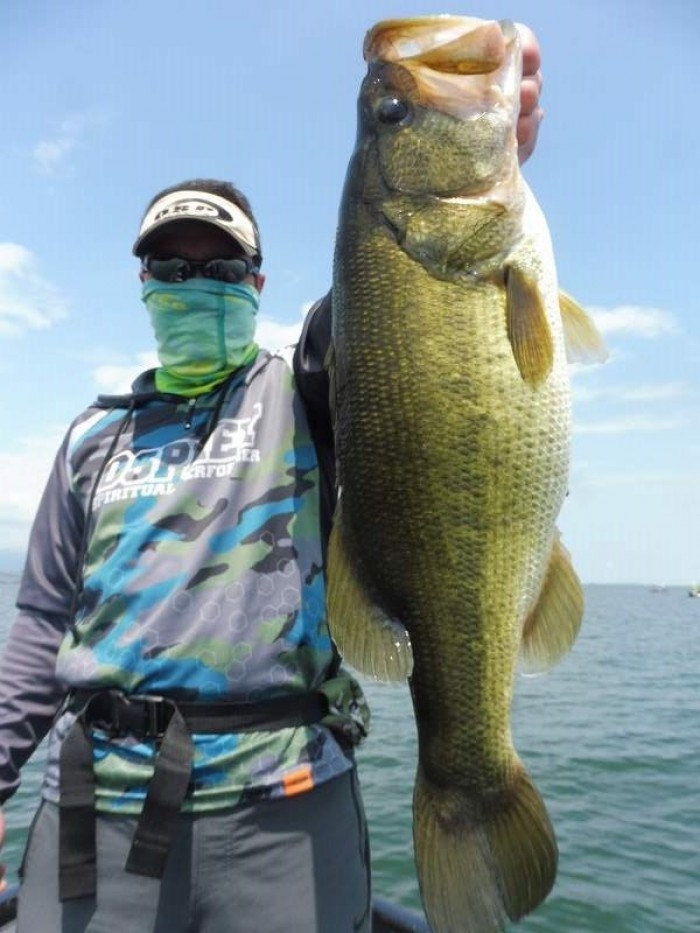 truth  ブログ写真 2017/08/17