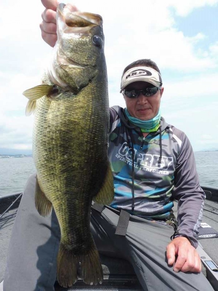 truth  ブログ写真 2017/08/17