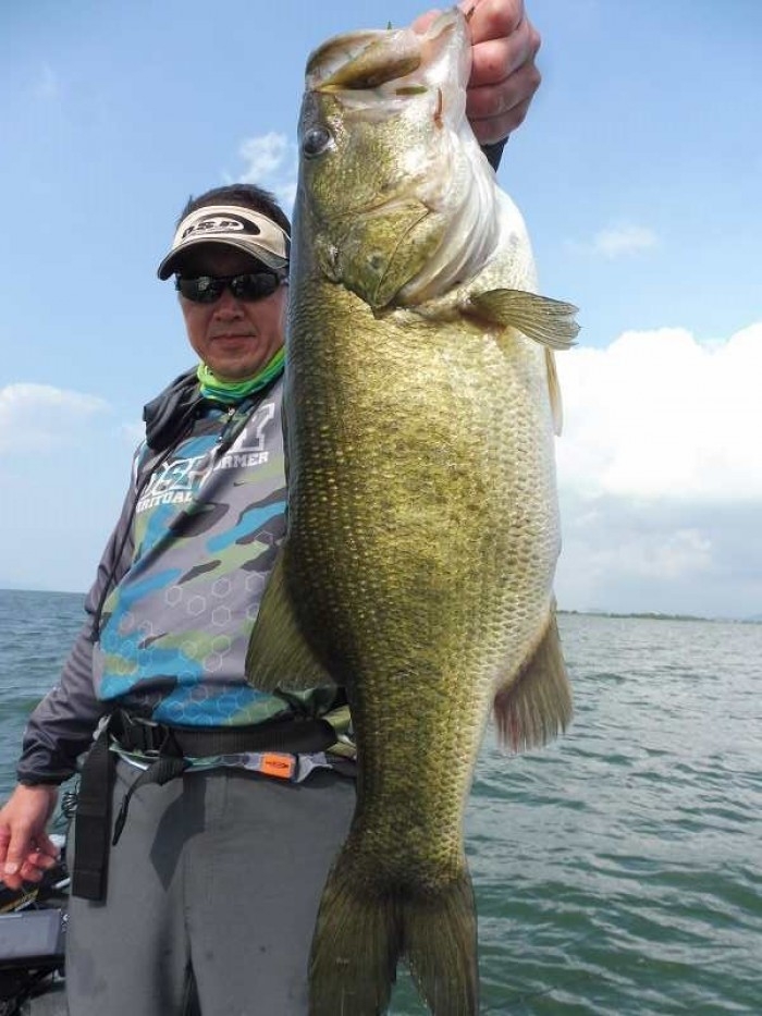 truth  ブログ写真 2017/08/17