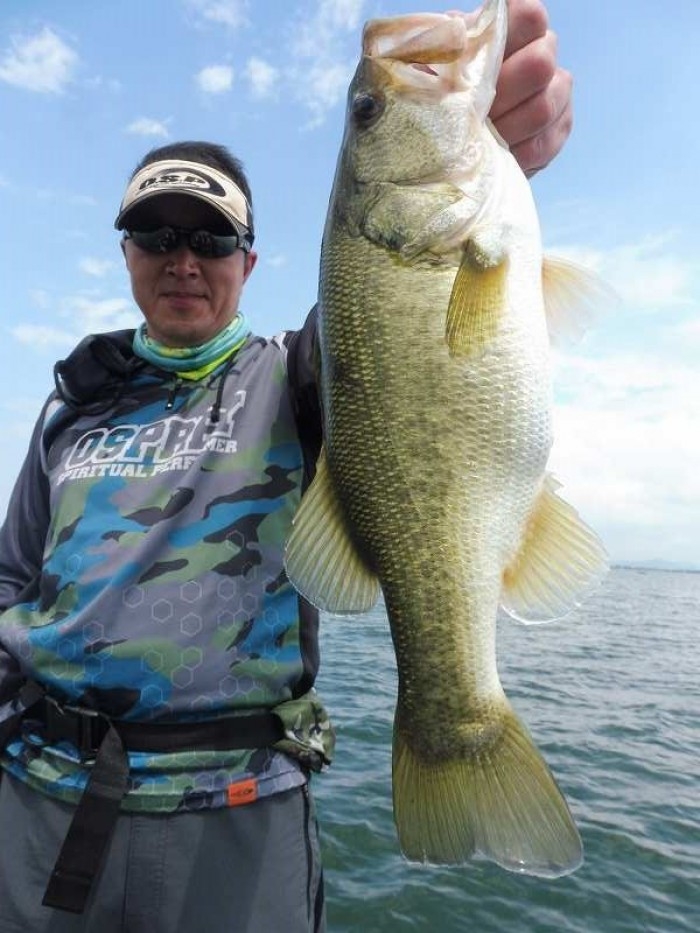 truth  ブログ写真 2017/08/17