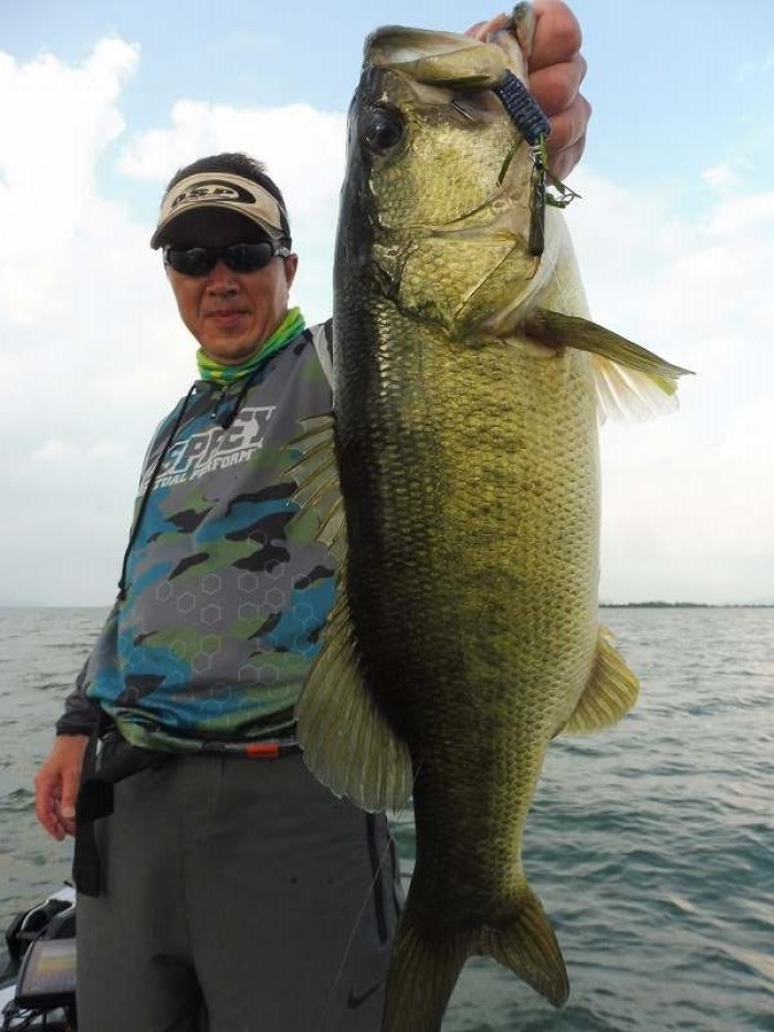 truth  ブログ写真 2017/08/17