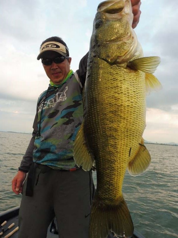 truth  ブログ写真 2017/08/17