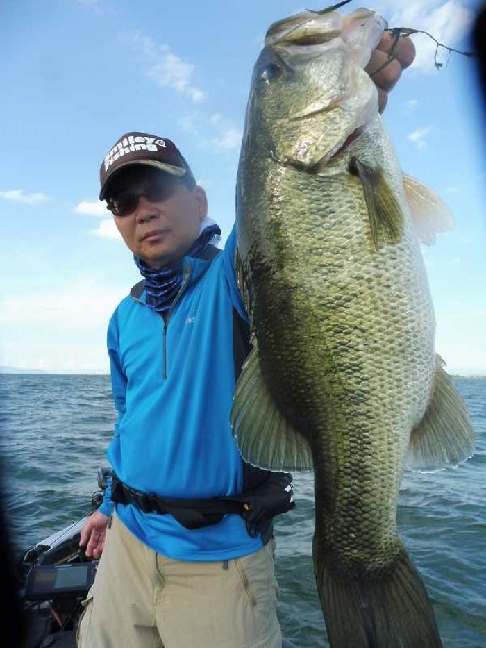 truth ブログ写真 2017/08/19