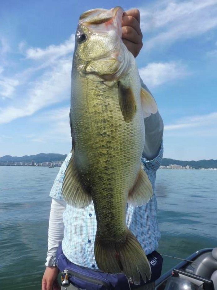 truth ブログ写真 2017/08/20