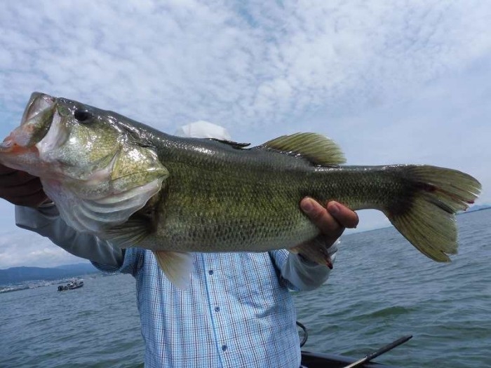 truth ブログ写真 2017/08/20