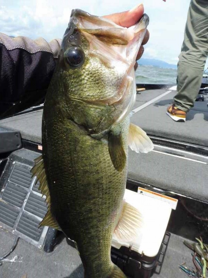 truth ブログ写真 2017/08/20